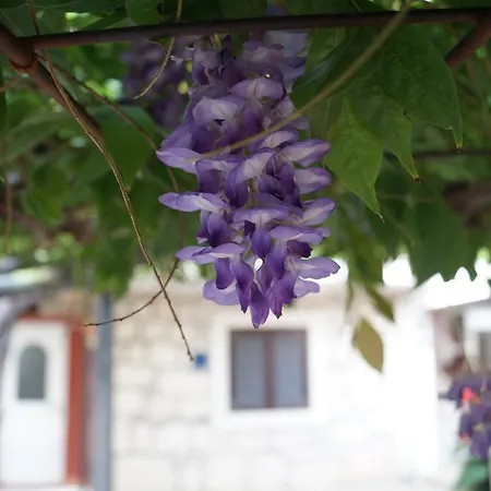 Stinice Apartamento