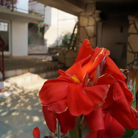 Apartamento Stinice *